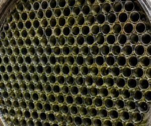 Algae Fouling | Restoring Condenser Vacuum Through CIP of Cooling-Water Tubes: A Whey Industry Case Study